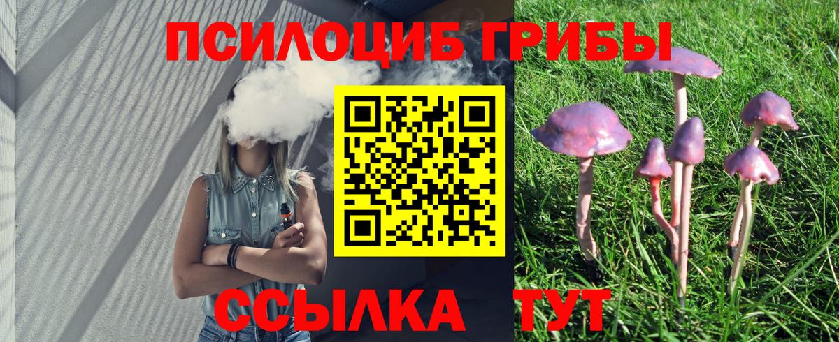 Галлюциногенные грибы ЛСД  купить наркотик  Великий Устюг  Галлюциногенные грибы GOLDEN TEACHER  Вход с VPN 